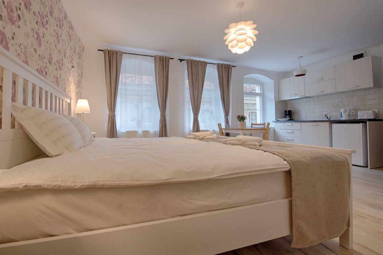 Casa Witting Apartment Brasov Exterior photo